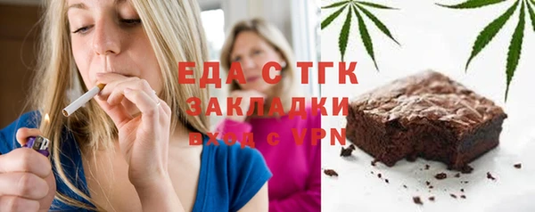 шишки Надым