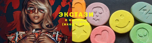 шишки Надым