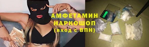 шишки Надым