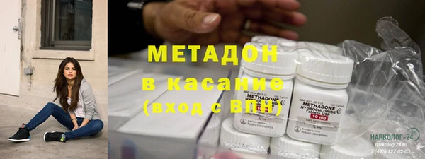 шишки Надым