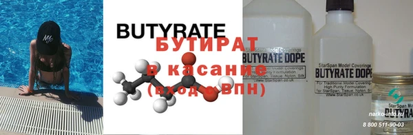 шишки Надым