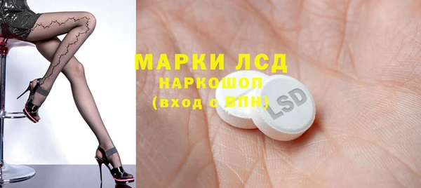 шишки Надым