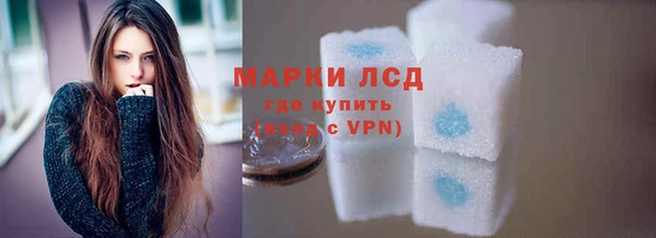 шишки Надым