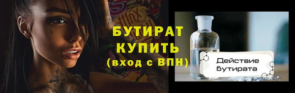 шишки Надым