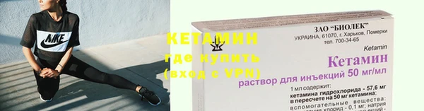 шишки Надым
