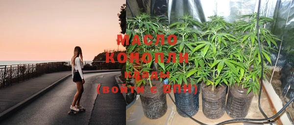 шишки Надым