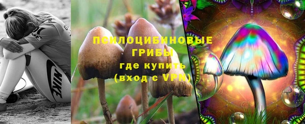 винт Бронницы