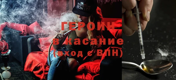 шишки Надым