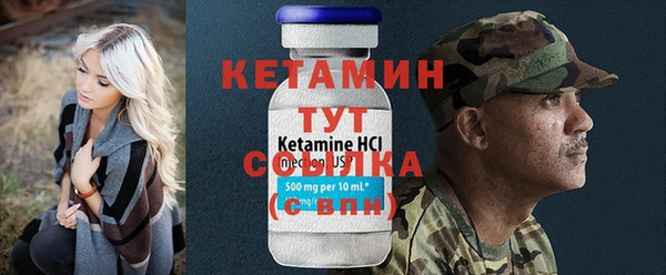 шишки Надым