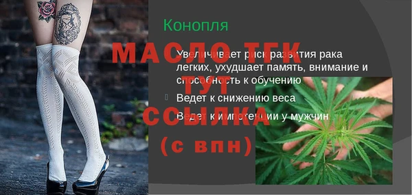 шишки Надым