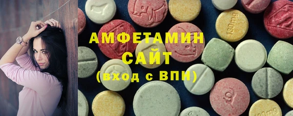 шишки Надым