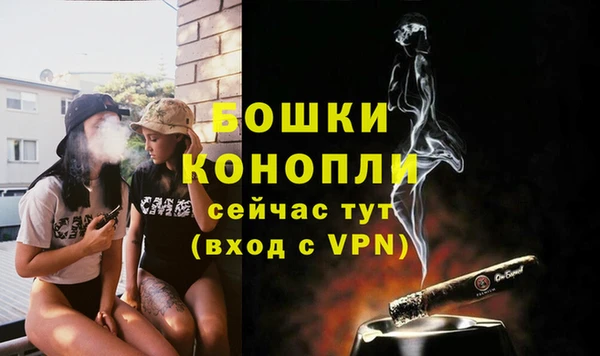 шишки Надым