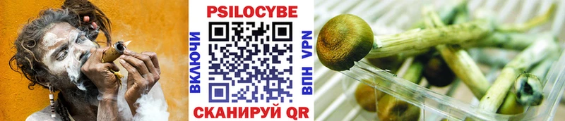 Псилоцибиновые грибы GOLDEN TEACHER  наркотики  Власиха 